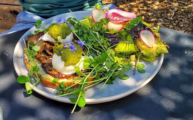 tartine
