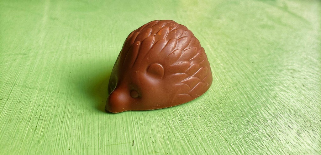 chocolat herisson